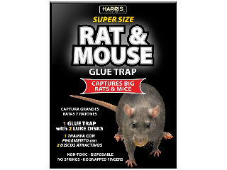 Harris Rat and Mouse Glue Trap Super Size