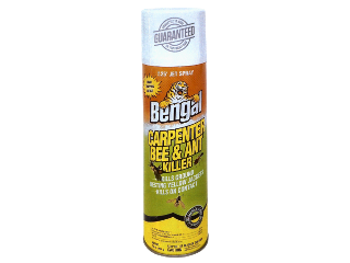 Carpenter Bee & Ant Killer, 16 Oz