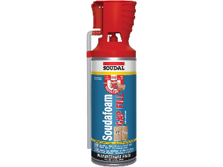 Triple Expansion GAP Fill Foam Sealant, 12 Oz