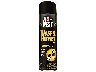 Spectracide Wasp and Hornet Killer, 14 Oz