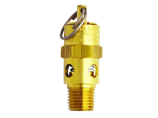 Safety Valve 1/4 In NPT 150 PSI