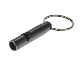 Metal Whistle with Key Ring