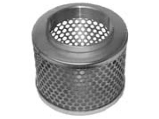 Hole Strainer, 2 In