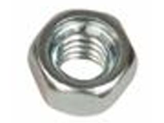 Toilet Flange Bolt Nut, 1/4 In