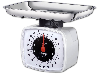 Platform Kitchen Scale 22 Lb White