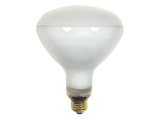 Clear R40 Heat Light Bulb, 125 Watt