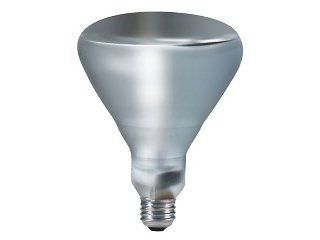 Infrared Clear Bulb Heat Bulb, 250 Watt