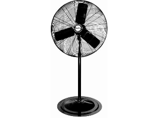 Pedestal Fan, 1/4Hp  30 In