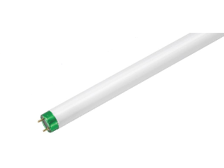 Cool White T8 Fluorescent Light Bulb 32 Watt, 48 In 2 Pack