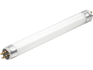 Cool White T5 Fluorescent Light Bulb 4 Watt, 6 In