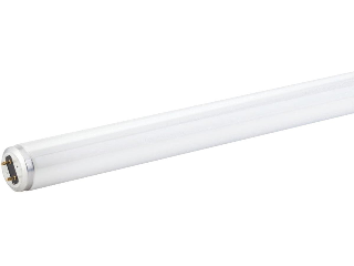 Cool White T8 Fluorescent Light Bulb 15 Watt, 18 In