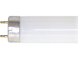 Cool White T8 Fluorescent Light Bulb 30 Watt, 36 In