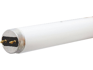 Soft White T8 Fluorescent Light Bulb 17 Watt, 24 In