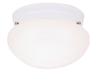 White Ceiling Light Fixture, 9-1/2 In