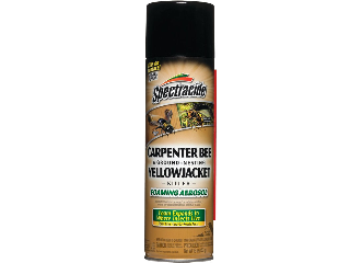 Spectracide Yellow Jacket Killer Foam, 16 oz