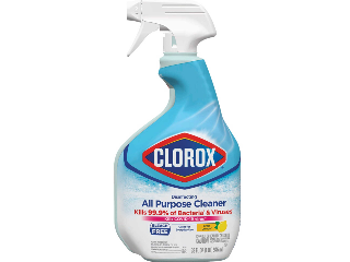 Clorox All-Purpose Disinfectant Cleaner, 32 Oz