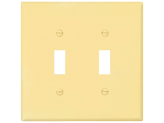 Ivory Switch Plate, 2 Gang