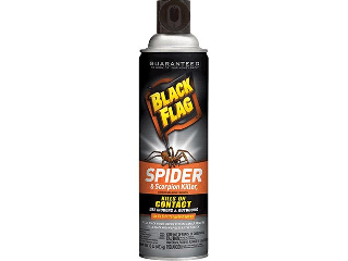 Spider and Scorpion Killer, 16 Oz