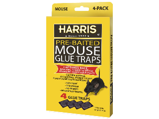 Pre-Baited Mouse Glue Traps