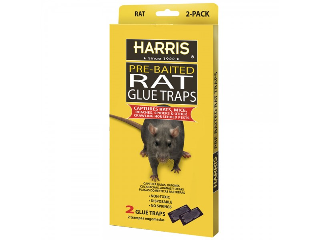 Harris Rat Glue Trap 4 pack