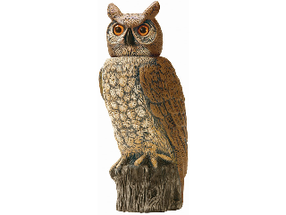 Rotating Head Owl 19 Inch