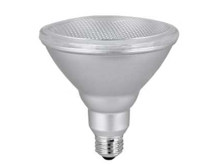 Indoor/Outdoor Daylight PAR38 Dimmable Floodlight Light Bulb, 90 W