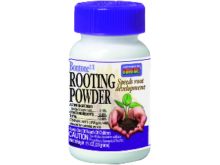 Bontone Rooting Powder, 1.25 Oz