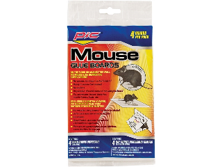 PIC Rat & Mouse Glue Trap, 4 Pk