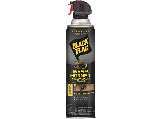 Black Flag Yellow Jacket Wasp & Hornet Killer, 14 Oz