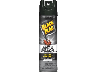 Black Flag Unscented Ant and Roach Killer, 17.5 Oz