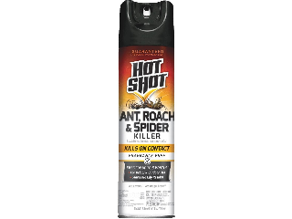 Hot Shot Any & Roach Killer Spray