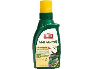 Concentrated Malathion Insecticide, Quart