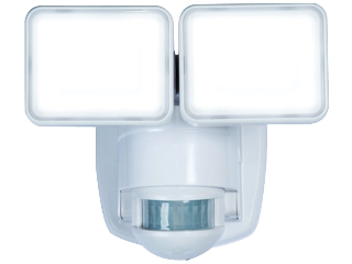 Motion Activated Security Light