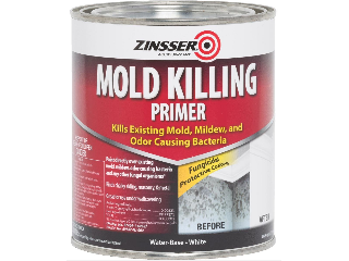 Mold Killer Primer (Sizes)