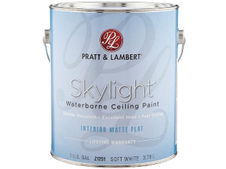 Skylight Interior Latex Matte Flat Soft White Ceiling Paint Gallon