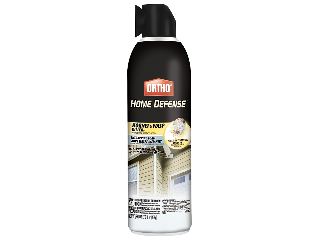 Ortho Hornet & Wasp Killer Foam, 16 Oz