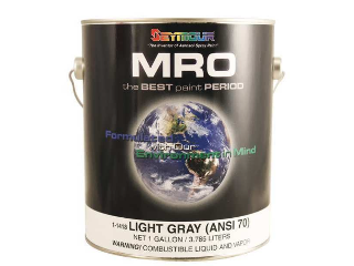 Seymour MRO Enamel Light Gray (ANSI70) Paint, Ga