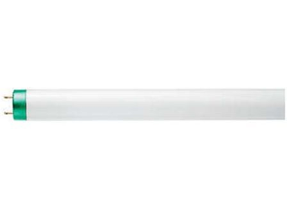 TL741  T8 Fluorescent Bulb, 32 Watt