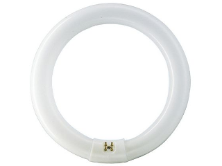 Cool White 8 In Fluorescent Round Bulb, 22 Watt  **