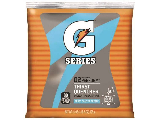 Gatorade Powdered Drink Mix 21 Oz (2-1/2 Gallon Size)