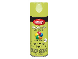 KRYLON Tough Coat Acrylic Alkyd Enamel (Colors)