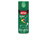 KRYLON Tough Coat Acrylic Alkyd Enamel (Colors)