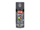 KRYLON Tough Coat Acrylic Alkyd Enamel (Colors)