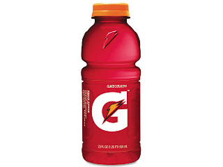 Gatorade Sports Drink 20 OZ Assorted FLavors