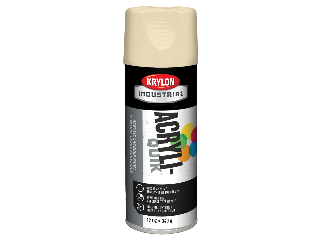 Krylon Spray Paint (Colors)