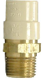 CPVC Transition Male Adapter (Sizes)