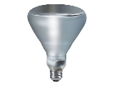 Infrared Clear Bulb Heat Bulb, 250 Watt