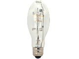 175W Clear Metal Halide High Intensity ED17 Light Bulb