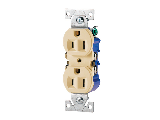 Standard Duplex Receptacle, 15 Amp  Ivory