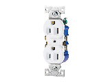 Standard Duplex Receptacle, 15 Amp  White